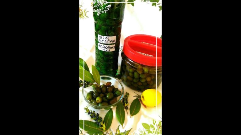 Il pericolo di consumare olive nere trattate con soda caustica: tutto ciò che devi sapere